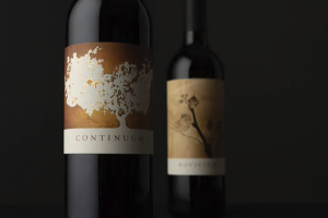 ContinuumDuo v1