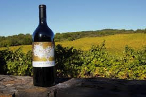 ContinuumStakeHouse v1