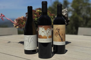 Dante Mondavi v1